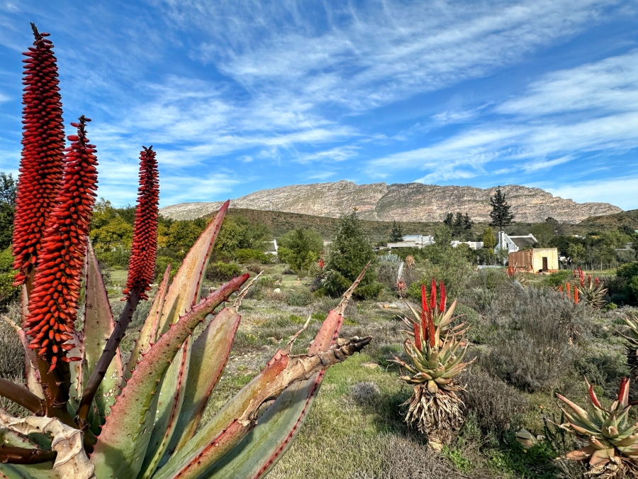 0 Bedroom Property for Sale in Barrydale Western Cape